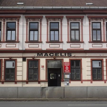 Pension Macelis Чеське Будєйовіце Екстер'єр фото